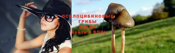 бошки Богданович