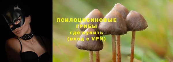 амфетамин Богородск