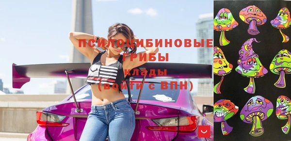 бошки Богданович