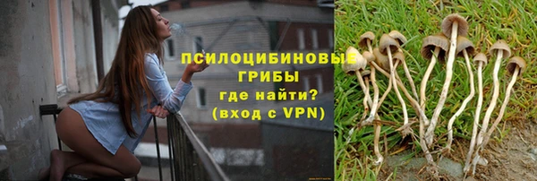бошки Богданович