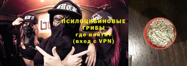 бошки Богданович