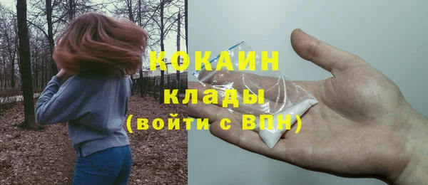 бошки Богданович