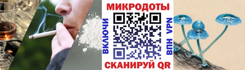 сайты даркнета Telegram blacksprut онион Дивногорск Галлюциногенные грибы Psilocybine cubensis